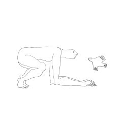 Nap