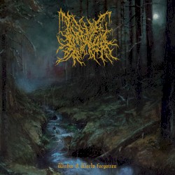 Continuum Cruciatus