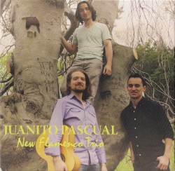 New Flamenco Trio