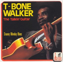 The Talkin' Guitar