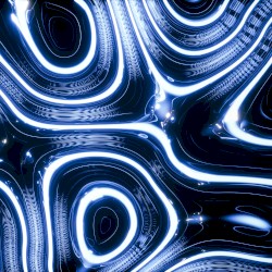 Wisdom