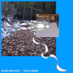 Shakes and Stays