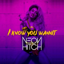 I Know You Wannit