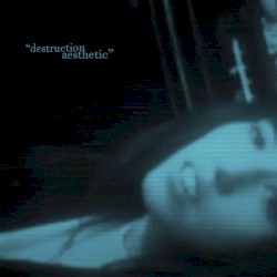 Destruction Aesthetic (single version)