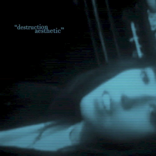 Destruction Aesthetic (single version)