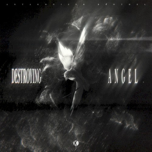 DESTROYING ANGEL