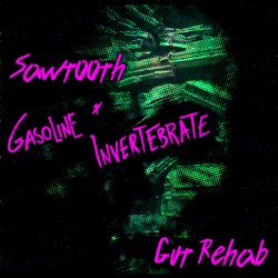 Gut Rehab