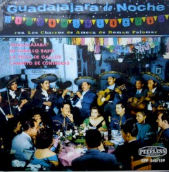 Guadalajara de noche