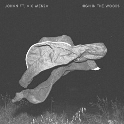 High in the Woods