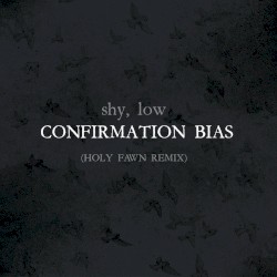 Confirmation Bias (Holy Fawn Remix)