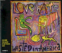 Wasted in America