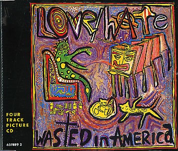 Wasted in America
