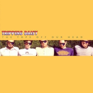 The Tops Off Our Head