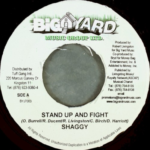 Stand Up and Fight