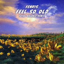 Feel So Old (Total Balance remix)