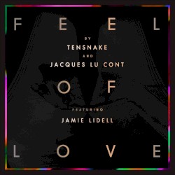 Feel of Love (Remixes)