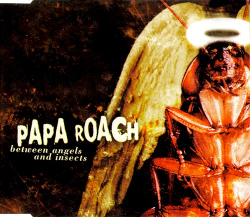 Between Angels and Insects