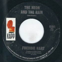 The Neon and the Rain