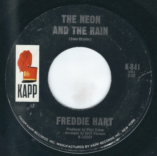 The Neon and the Rain