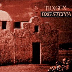 BXG STEPPA