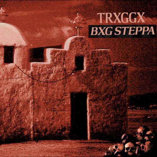 BXG STEPPA