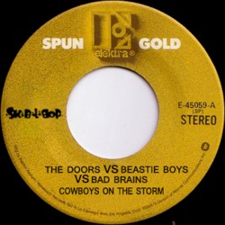 Cowboys on the Storm (The Doors vs. Beastie Boys vs. Bad Brains)