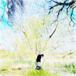 Sentence