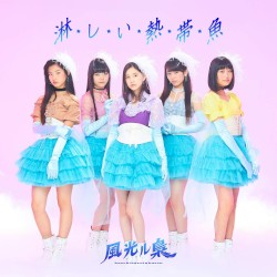 淋しい熱帯魚