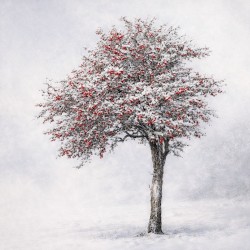 Hawthorn (Original)
