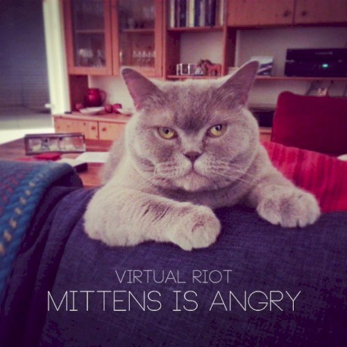 Mittens Is Angry