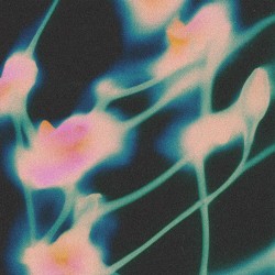 Finity