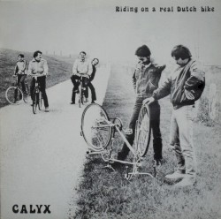 Riding on a Real Dutch Bike