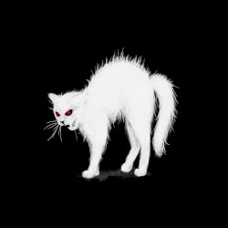 Hexenkatze