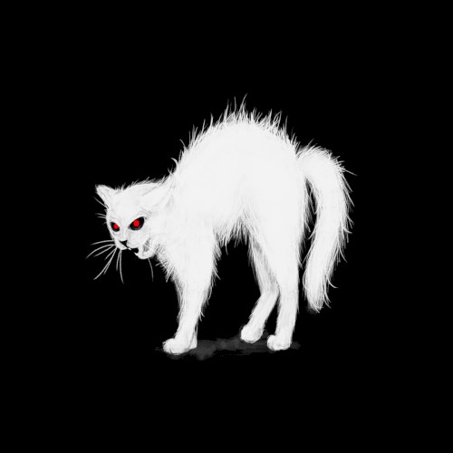 Hexenkatze
