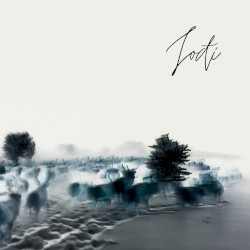 Jođi