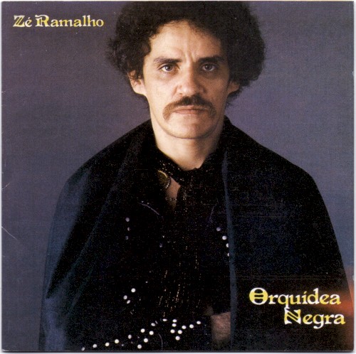 Orquídea negra