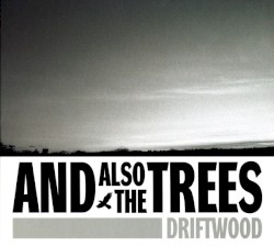 Driftwood