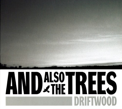 Driftwood