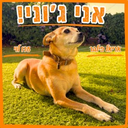 אני ג׳וני!