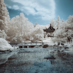 幽霊の庭園