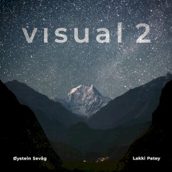 Visual 2