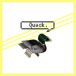 Quack