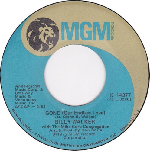 Gone (Our Endless Love)