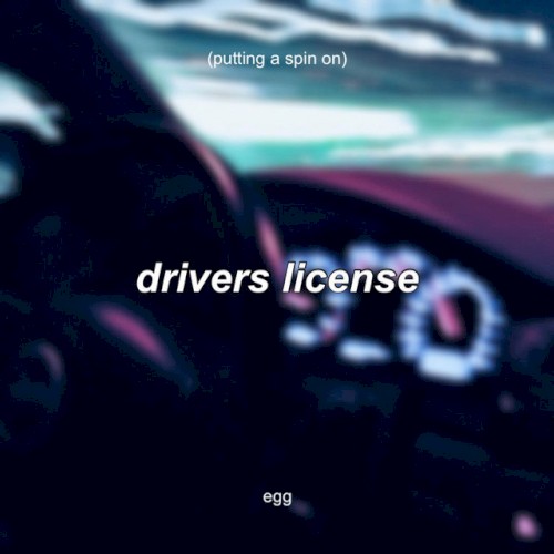 Putting a Spin on Drivers License