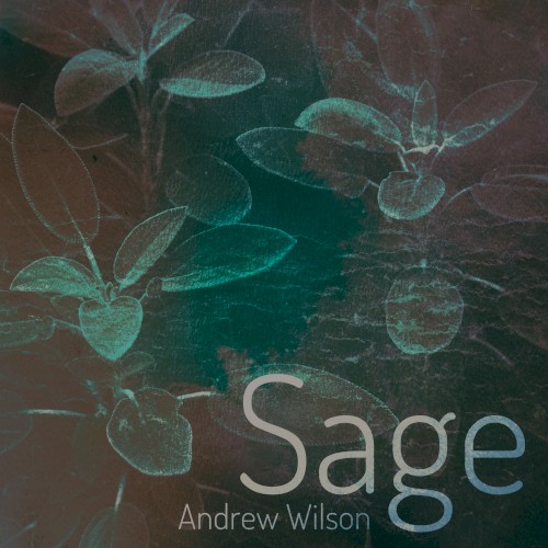 Sage