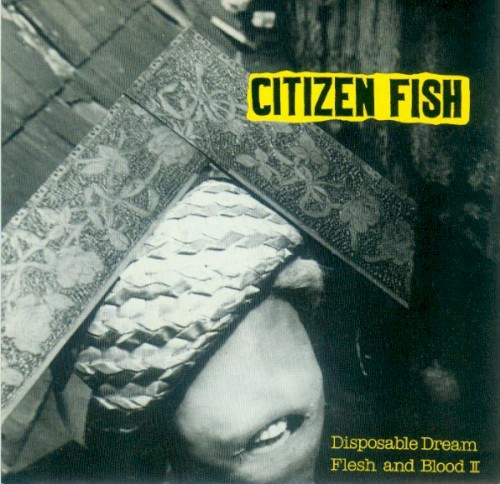 Disposable Dream / Flesh & Blood II