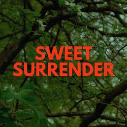 Sweet Surrender