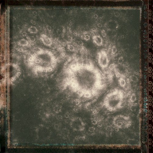 Project Tracks