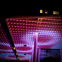 EMMA DISTRICT (GLOW 2019)