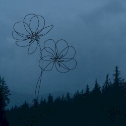 may flowers
